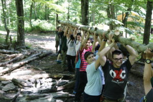 Group working together